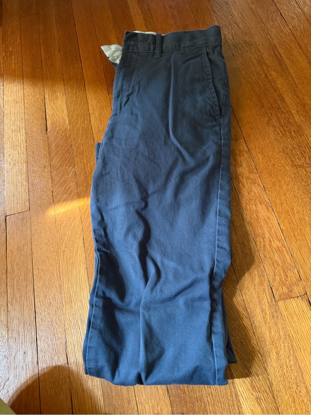 Crewcuts Navy Blue Kids Casual Pants skinny